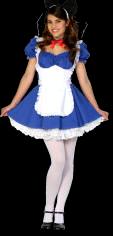 Alice in Wonderland Costume