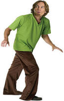 Shaggy Costume Adult