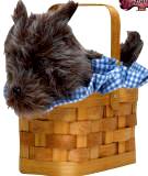 Doggie Basket