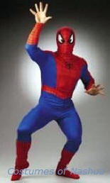 Spiderman Costume