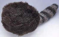 Coonskin Hat