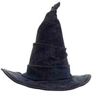 Professor McGonagall Witch Hat Harry Potter