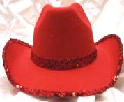 Felt Cowboy Hat