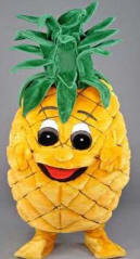 Pineapple Mascot Costume