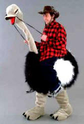 Riding the Ostrich Mascot Costume