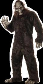 Big Foot Costume