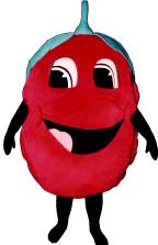 Raspberry Mascot Costume