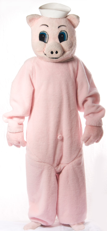 Three Little Pigs Costume