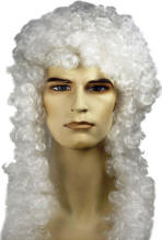 Sir Isaac Newton Wig