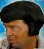 Elvis Wig Rock Star