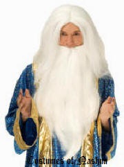 Wizard Wig & Beard Set 