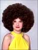 Jumbo Afro Wig