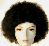 Discount Afro Wig