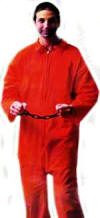 Jailbird Jumpsuit Adult